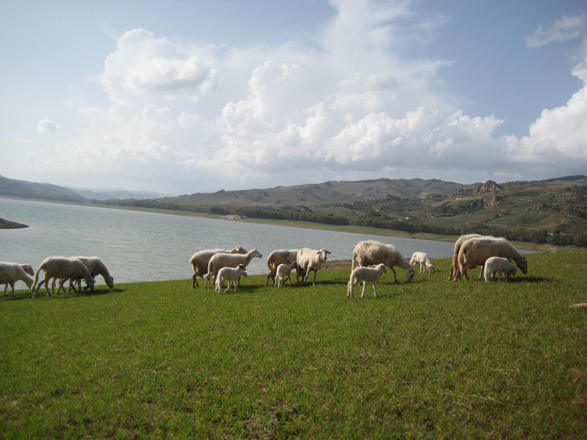 Oasi Del Lago Regalbuto Екстер'єр фото